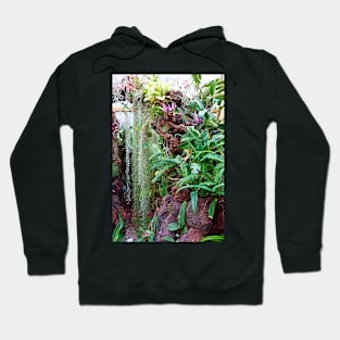 Sherman Gardens Study 11 Hoodie